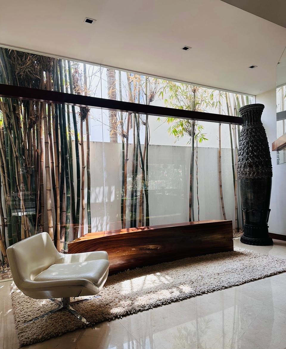 Vestíbulo con banca de madera maciza y jardín de bambú